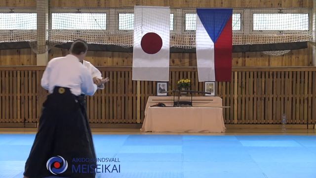 18.Aikido Yokomen Uchi Iriminage Shishiya Sensei, Horice 2016