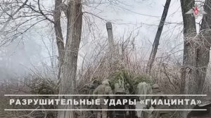 Разрушительные удары «Гиацинта»