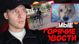 Этот песик настоящий единорог😱 Китайцы создали пристегивающийся робозад😅 ТОП НОВОСТЕЙ....
