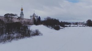 Едем в Вологду на актировку щенков.