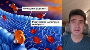 Что же такое ФУЛЛЕРЕН