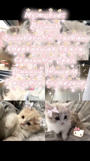 ПАФИБКИ ЗА 30 ЗАЕК!!!!ВЫ ЛУЧШИЕ