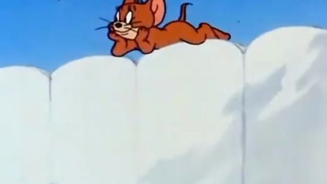 Том и Джерри…