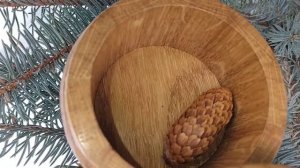 Шкатулка стилизованная под дубовый бочонок на голубой ели