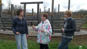 Грин Типс Елены Турчак в гостях у Тутты Ларсен. Сад на берегу водохранилища.