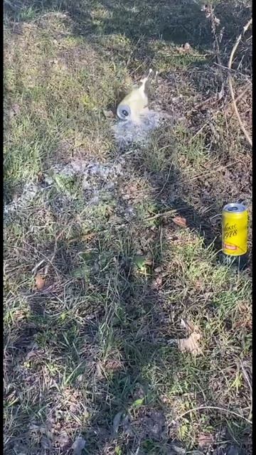 SNOWPEAK SL900S мощность и точность стрельбы по разным целям