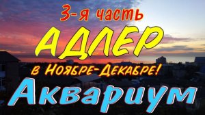 Адлер зимой 3-ая часть. Аквариум в Адлере. Акулы не нападают!