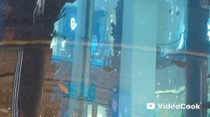 Торговый центр Океания: Водное шоу и рыбы.