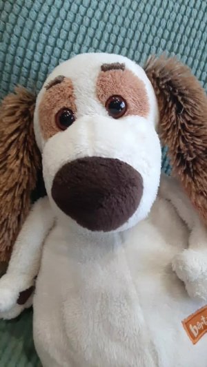 разговор с Барти