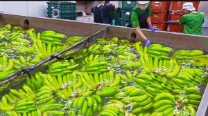 подборка массового производства