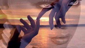 206 Дорога любви 206 диск.