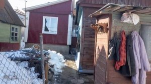 Николаевские голуби 15.03.2026 г