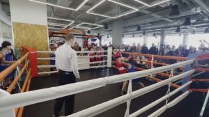 Бокс. Бой Тимура #8.