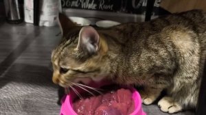 Видео за три моих рабочих дня 🕐