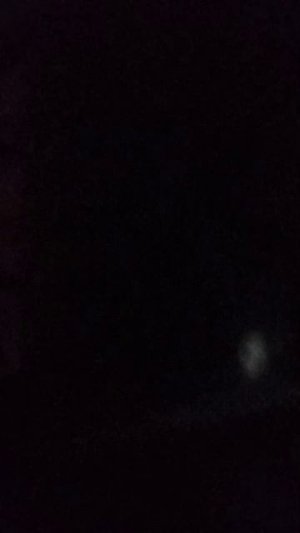 снов салатких