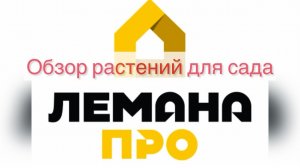 Растения для сада Обзор из Лемана Про