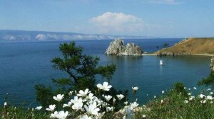 Родной край