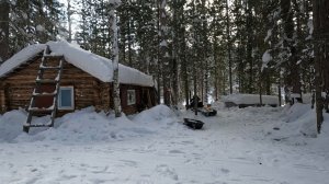 Закрытие сезона в тайге: Мороз, солнце и поход к избушке.