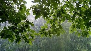 Капля за каплей #релаксация #медитация #природавосприятия