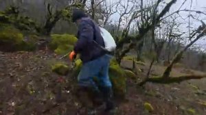 Пережить Суровую зиму.