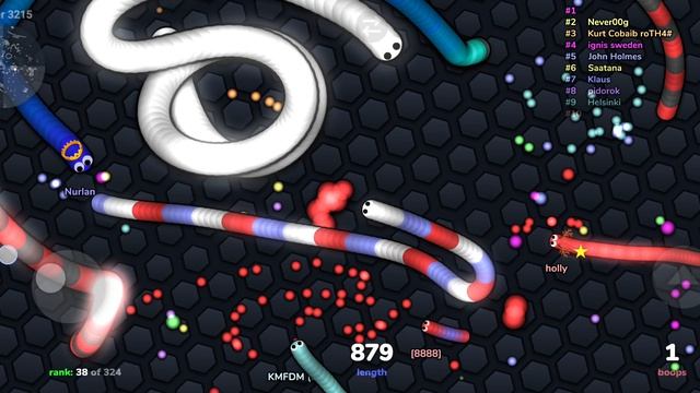 ИГРАЮ СО СКИНОМ РОССИЙСКОЙ ФЕДЕРАЦИИ В SLITHER.IO.