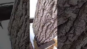 идём с Лп до магаза