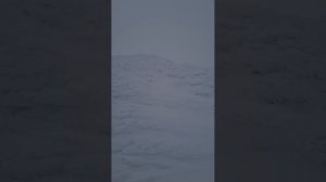 Пик чехова 2026 полное видео