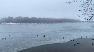 Шок. Тёплые озеро замерзло 15-03-2026