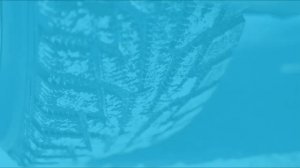 Зимняя резина в марте — менять или нет 🛞