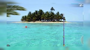 играю в my fishing world вторая серия