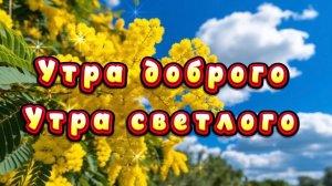 Утра доброго, утра светлого! Песня и пожелания доброго утра