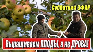 прямой эфир растим плоды, а не дрова в гостях Алексей Петрищев