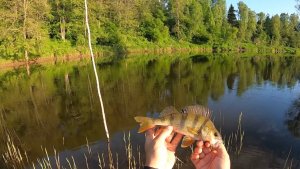 РАССВЕТ НА РЕКЕ, ВЕСЕННЯЯ РЫБАЛКА НА СПИННИНГ!