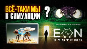 КАК МАЛЕНЬКАЯ МУХА ДОКАЗАЛА ЧТО МЫ В МАТРИЦЕ