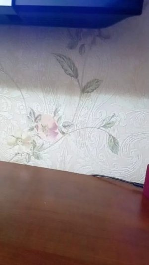 Алиса игры секреты шутки