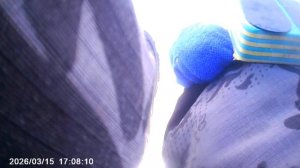 Вечерний клев на Мормышку🎣 Наживка мотыль. Прикормка Стерля, пробурил 3 лунки.