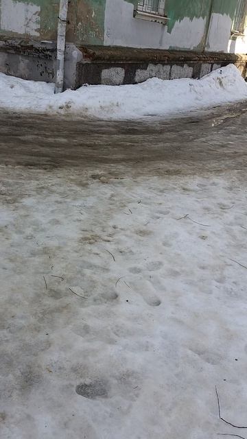 №1700 Двор П. Осипенко 48. 14 марта 2026 г., 11:12:36 VID_20260314_111203649