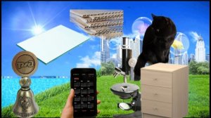 МЫ ПОСМОТРЕЛИ РАЗНЫЕ ВЕЩИ ПОД МИКРОСКОПОМ