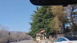 Субботняя смена в Яндекс такси в Сочи 14.03.26