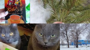 🌤️Погуляем, поболтаем. Что купила😊 15.03