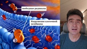 О Фуллерене Алексей Хохлатов