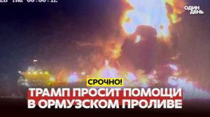 ТРАМП ПРОСИТ ПОМОЩИ СОЮЗНИКОВ С ОРМУЗСКИМ ПРОЛИВОМ