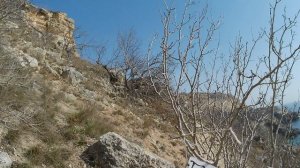 Севастополь пляж Баунти 15.03.2026