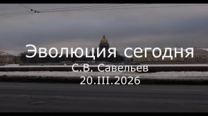 С.В. Савельев - Эволюция сегодня