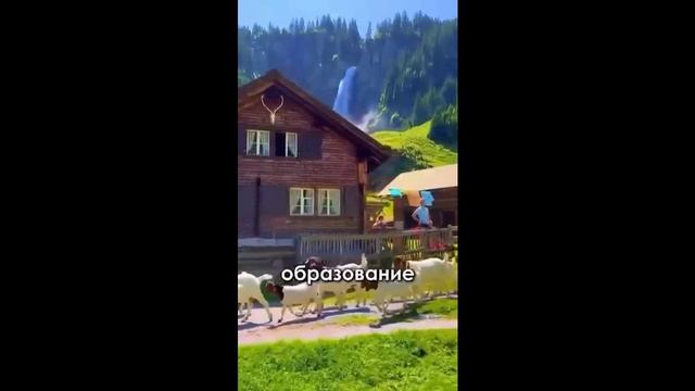 Калейдоскоп 69.