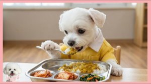 Новый семестр что ждет учеников в этом году