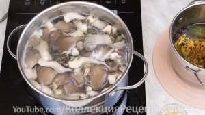 Соленые_грибы_вешенки_за_сутки_Рецепт_быстрой_засолки_грибов_горячим_способом_Грибы_без_уксуса