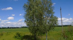 Френсис Гойя - Ностальгия