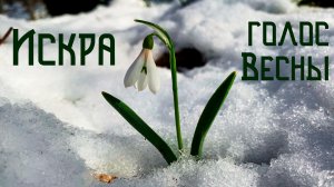 Искра / Пробуждение Весны / Первые ноты тепла в лесу