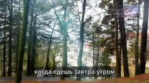 После предательства.